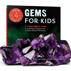 Junior Scientists: Rocks and Minerals for Kids-0